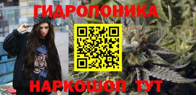 прущая мука Ачхой-Мартан