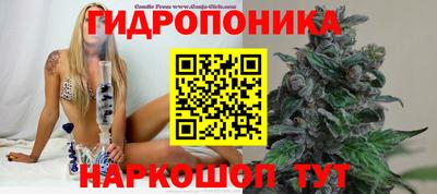 метамфетамин Аша
