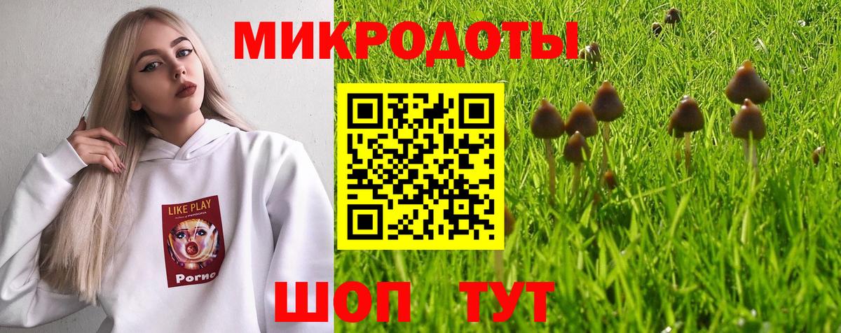 Галлюциногенные грибы Magic Shrooms Горно-Алтайск